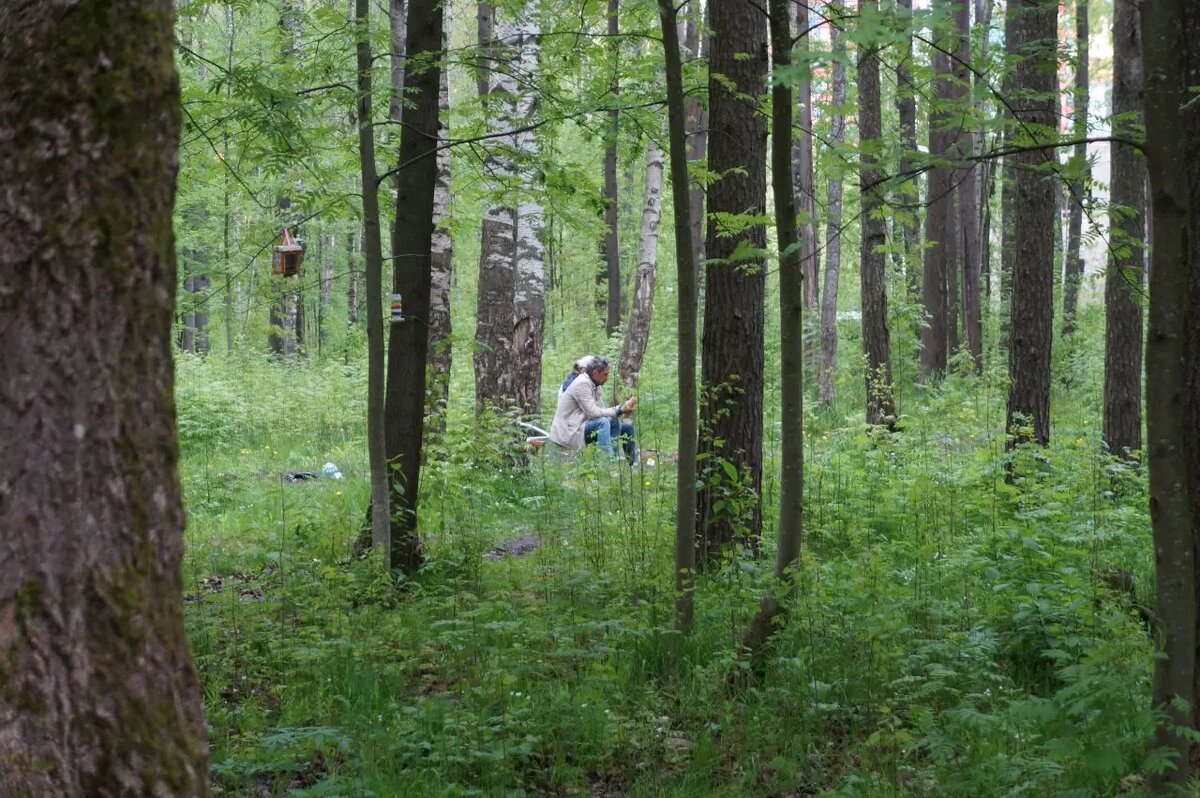    Изотовский сквер 30 мая 2025 года. Фото: читатель Мойки78