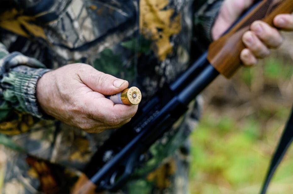    Shutterstock/FOTODOM