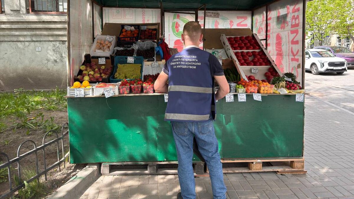    Фото: t.me/kkispb