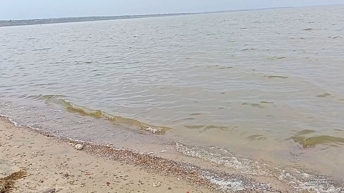 Таганрогский залив Азовского моря. 29.05.2025 год. Фото автора.