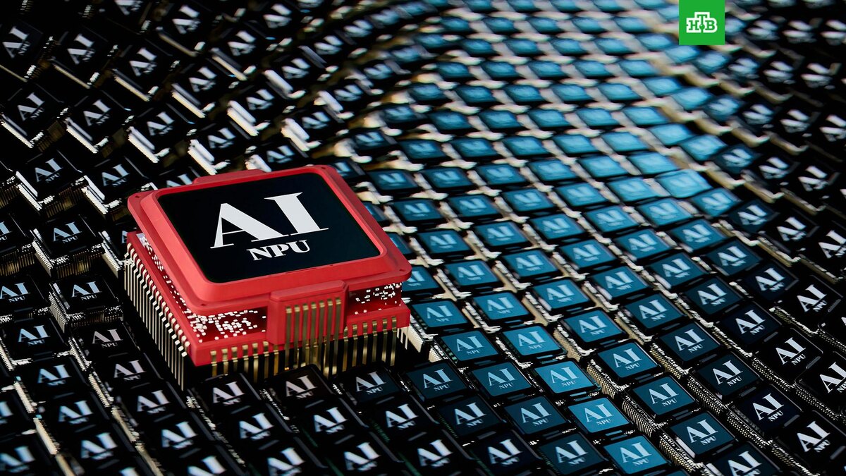    Фото: Igor Omilaev / unsplash.com