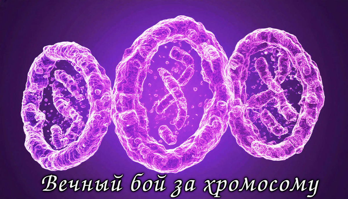 Противостояние мужчины и женщины: причины конфликта
Конфликт между мужчиной и женщиной — явление сложное и многослойное. Его корни лежат одновременно в биологии, психологии и культуре. Эти различия формируют не просто разные модели поведения, но и разные способы восприятия мира, что нередко становится источником непонимания.
С биологической точки зрения, ключевое отличие — в хромосомах: XX у женщин и XY у мужчин. Эти различия влияют не только на физиологию, но и на поведенческие особенности. Например, исследования (в том числе в журнале Frontiers in Psychology) показывают, что мужчины и женщины по-разному реагируют на стресс: мужчины чаще выбирают стратегию действия, женщины — склонны к эмпатии и поиску поддержки. Это приводит к различным способам решения проблем и объясняет, почему даже при одинаковых целях мужчины и женщины могут действовать совершенно по-разному.
Психологически мужчины, как правило, ориентированы на целевое, линейное мышление: «есть задача — надо решить». Женщины чаще воспринимают ситуацию в контексте эмоций, отношений и нюансов. Там, где мужчина может молчать, считая, что «всё понятно», женщина будет искать подтверждения чувств, диалог, тонкие сигналы. Этот разрыв восприятия порождает ощущение, будто они говорят на разных языках — хотя речь идёт об одних и тех же вещах.
Культурно различия между полами были закреплены веками: мужчина как добытчик и защитник, женщина — как хранительница очага и потомства. Эти роли стали основой гендерных стереотипов, которые и по сей день влияют на поведение людей. Они не только ограничивают личную свободу, но и создают постоянное напряжение: ожидания не совпадают с реальностью, что вызывает внутренние и внешние конфликты.
Важно понимать: речь не о вражде, а о сложной системе различий. Мужчина и женщина — не противоположности, а разные формы реагирования на одни и те же жизненные вызовы.
