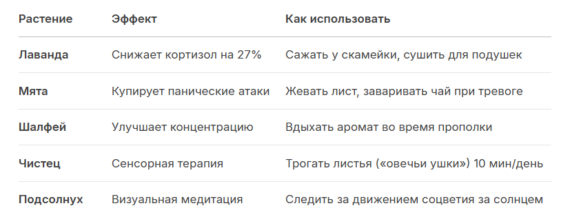 Важно: Для усиления эффекта комбинируйте растения — например, лаванда + шалфей создают «эффект транквилизатора» .