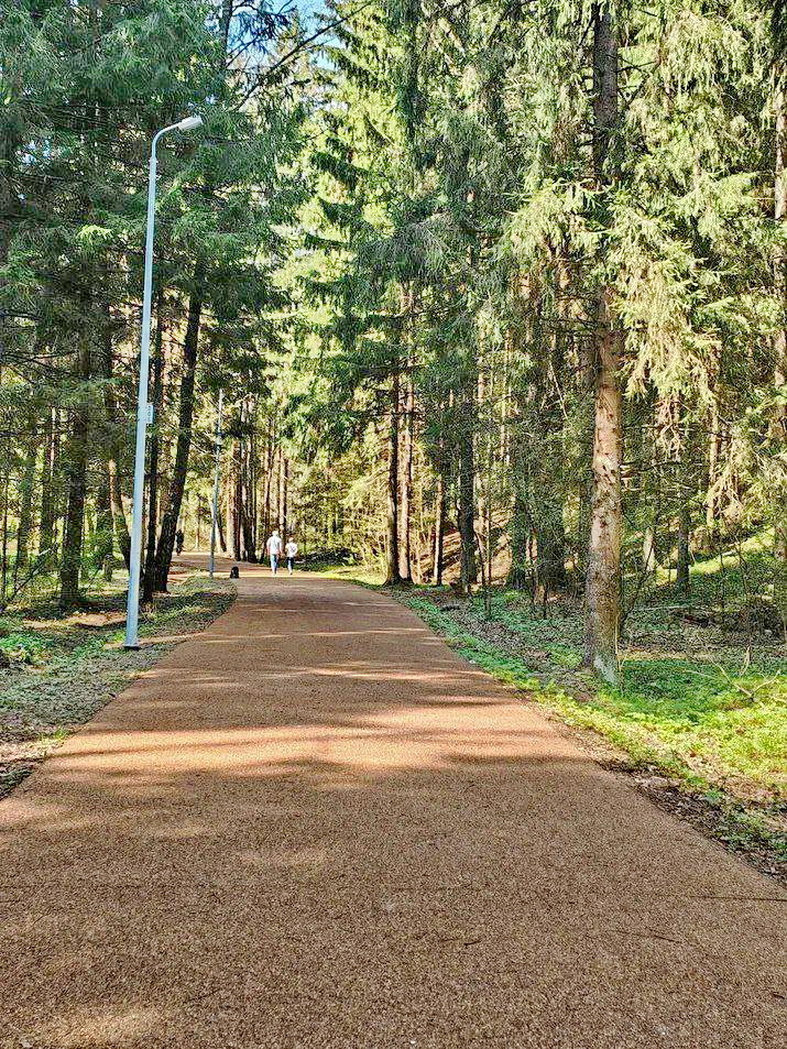 спортивно-оздоровительная база Лесная