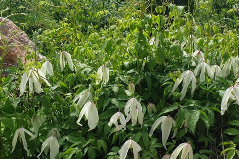    Нацпарк «Таганай»