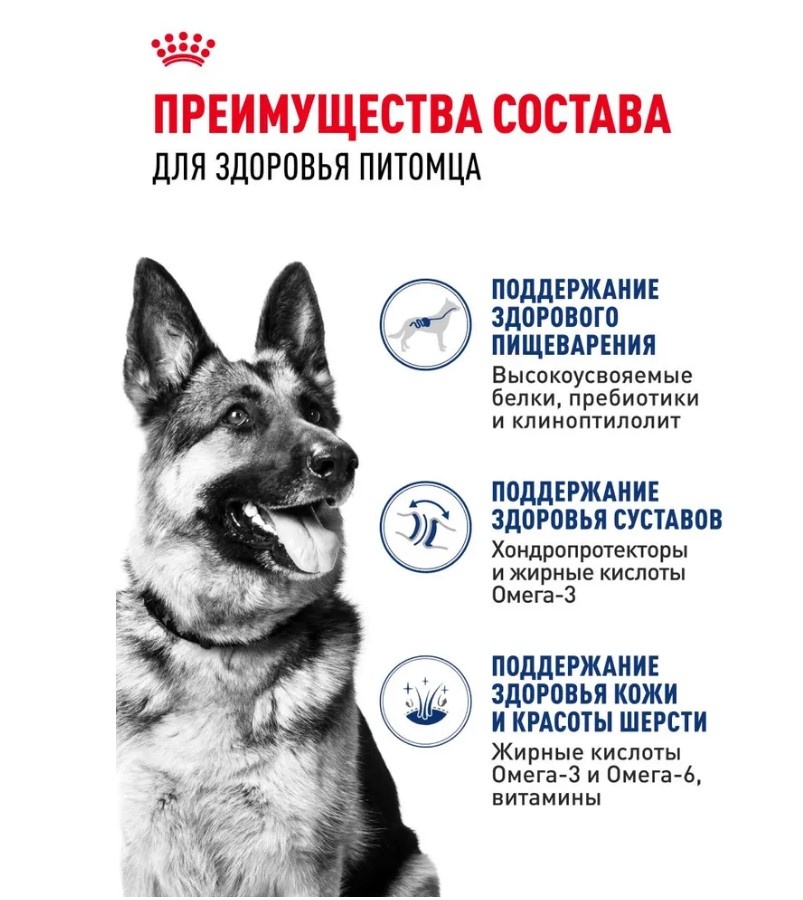 Примеры УТП в карточках