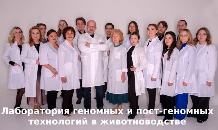    На генетические технологии в птицеводстве ученые Института биохимии и генетики УФИЦ РАН выиграли мегагрант