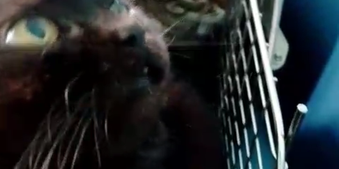 Нам трудно финансово