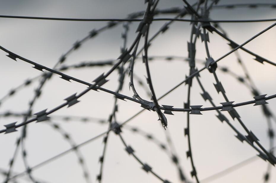    Алексей Белкин/NEWS.ru