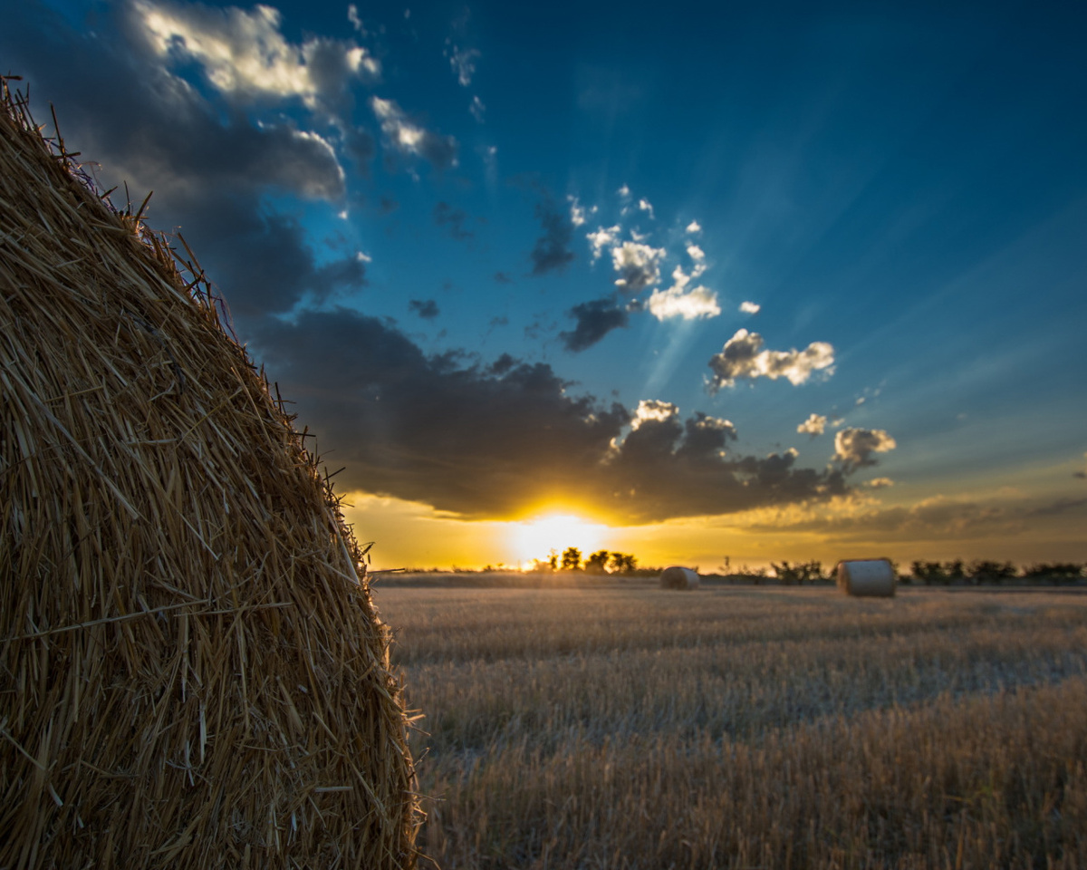 фото из открытого источника