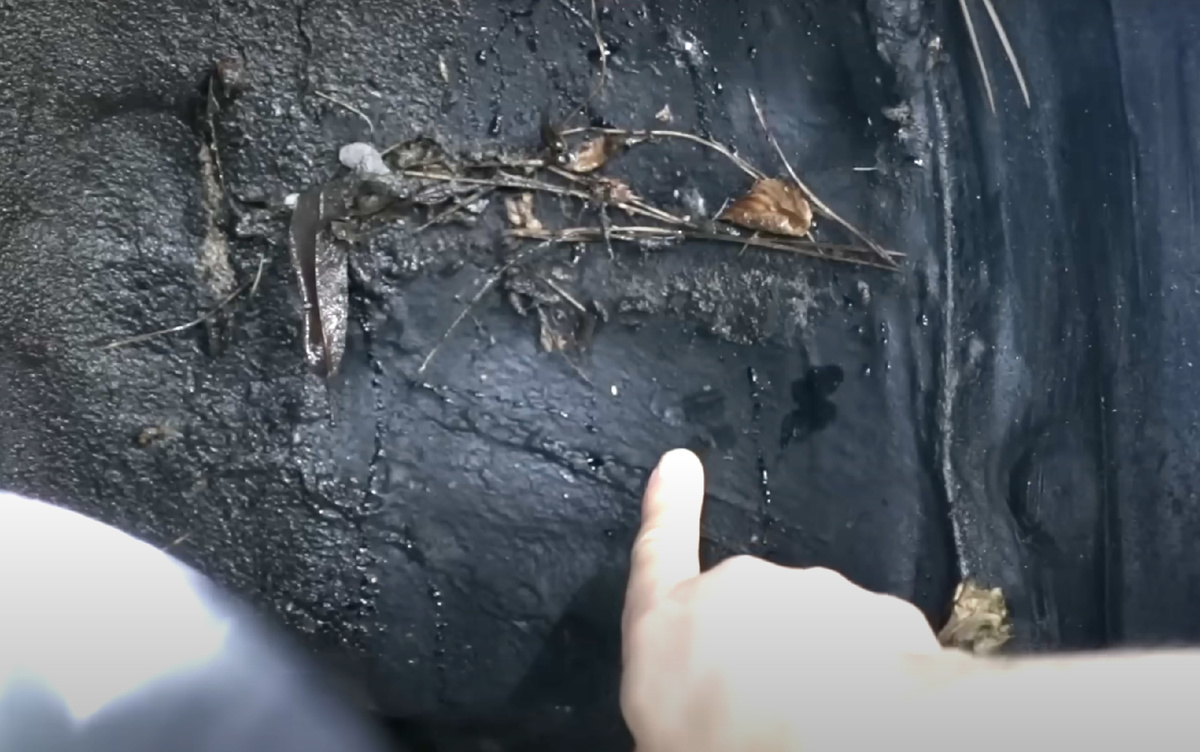 Сайт: kuzovokspb.ru