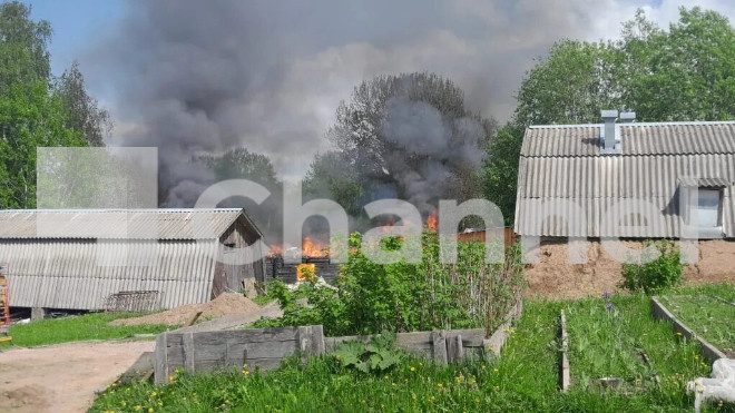Фото: Леноблпожспас