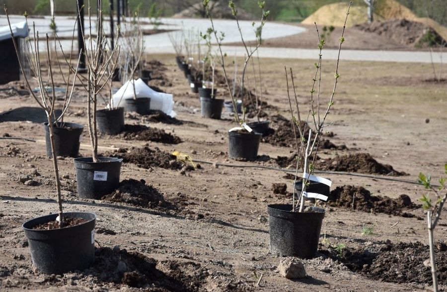    Фото: gtrk-kostroma.ru