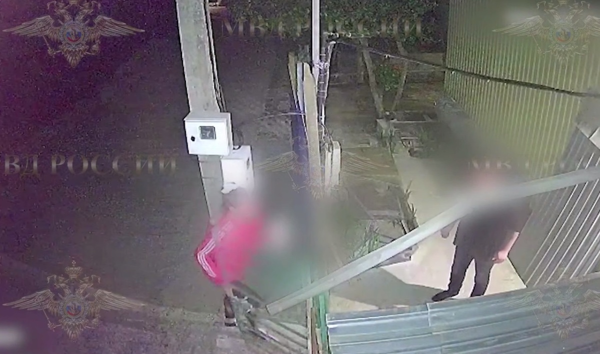 Фото: Telegram/Ирина Волк  📷
