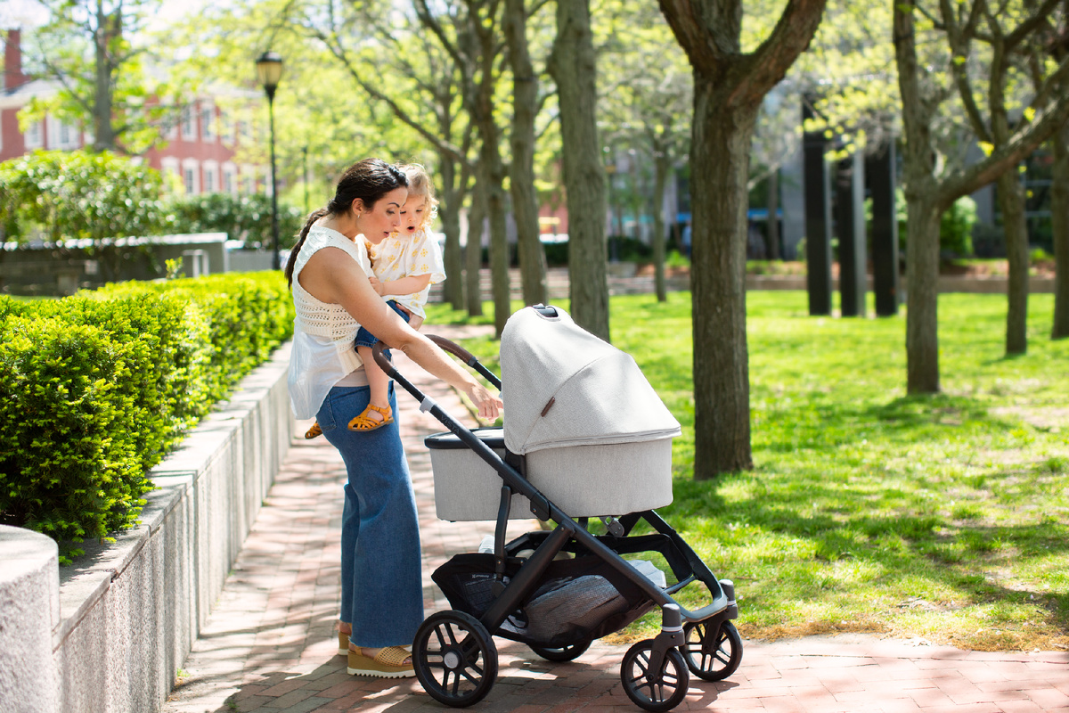 UPPAbaby Vista V2 