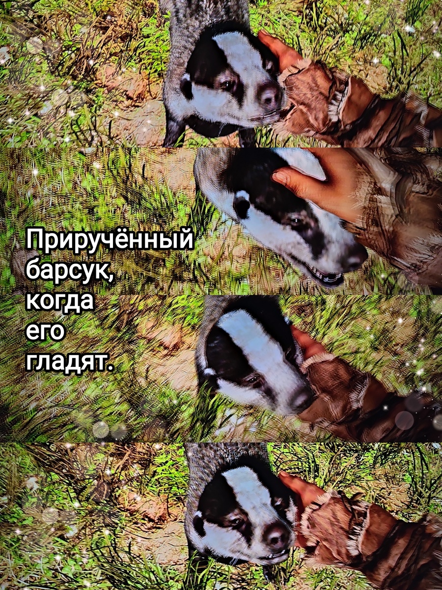 На фото обработанные мной скрины из игры "Far Cry Primal", 2015г., художественные руководители Жан-Кристоф Гюйо, Максим Бэлан, продюсер Винсент Понтбрианд, геймдизайнер Томас Саймон, разработчик Ubisoft Montreal. Скрины собраны в коллаж, который демонстрирует визуальный фон игры, а так же приручённого барсука, его внешний вид во время почесывания за ухом, для оценки плюсов игры в этом направлении. Подробнее об аниме рассказано ниже в статье. Все материалы размещены исключительно в информационных целях.