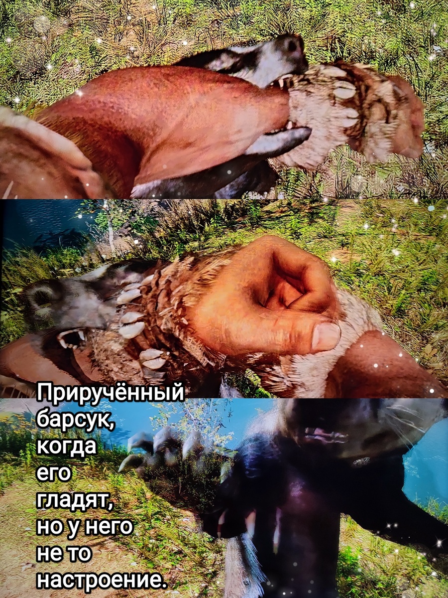 На фото обработанные мной скрины из игры "Far Cry Primal", 2015г., художественные руководители Жан-Кристоф Гюйо, Максим Бэлан, продюсер Винсент Понтбрианд, геймдизайнер Томас Саймон, разработчик Ubisoft Montreal. Скрины собраны в коллаж, который демонстрирует визуальный фон игры, а так же приручённого барсука, его внешний вид во время почесывания за ухом, для оценки плюсов игры в этом направлении. Подробнее об аниме рассказано ниже в статье. Все материалы размещены исключительно в информационных целях.