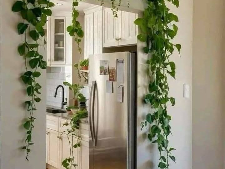 Цветы в интерьере: как правильно выбрать и использовать