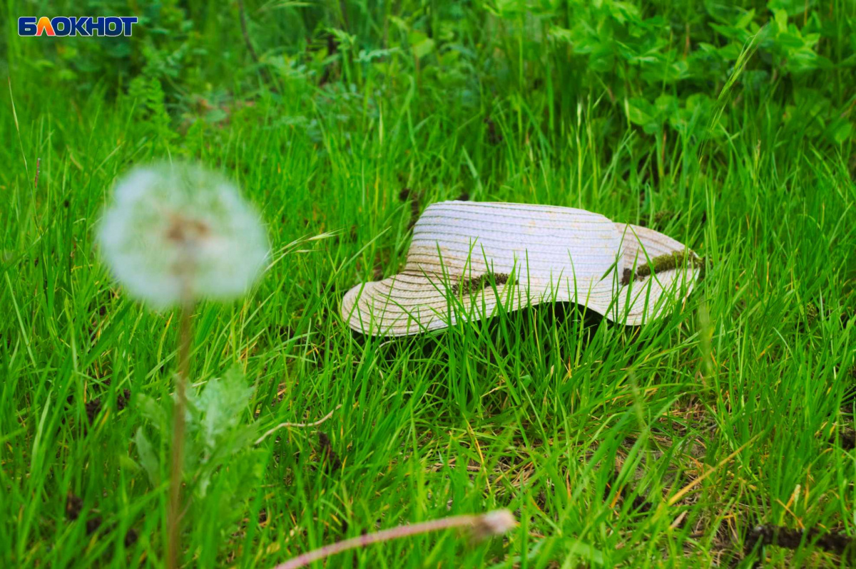 Фото: «Блокнот Краснодар"

