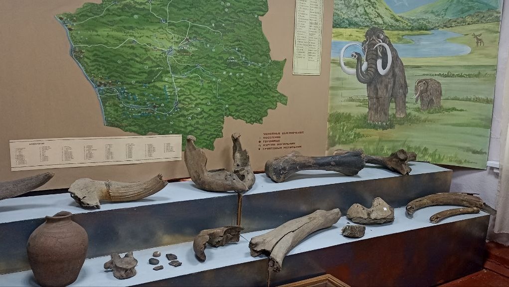 Экспозиция в Красногорском районном краеведческом музее