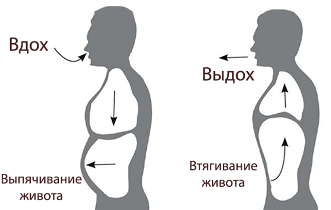 Дыхание животом: невидимая сила, о которой вы забыли. Польза или миф?