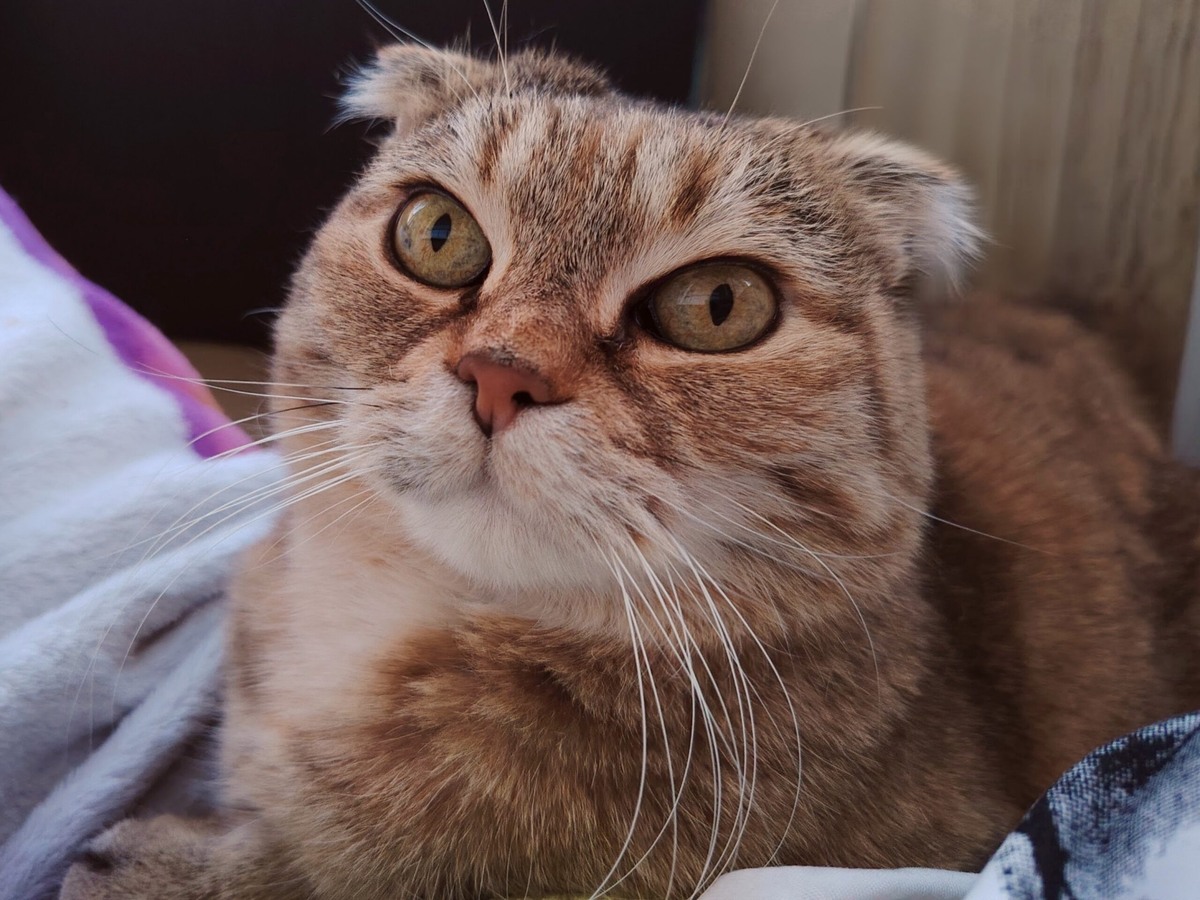    Фото: Галина Ниценкова