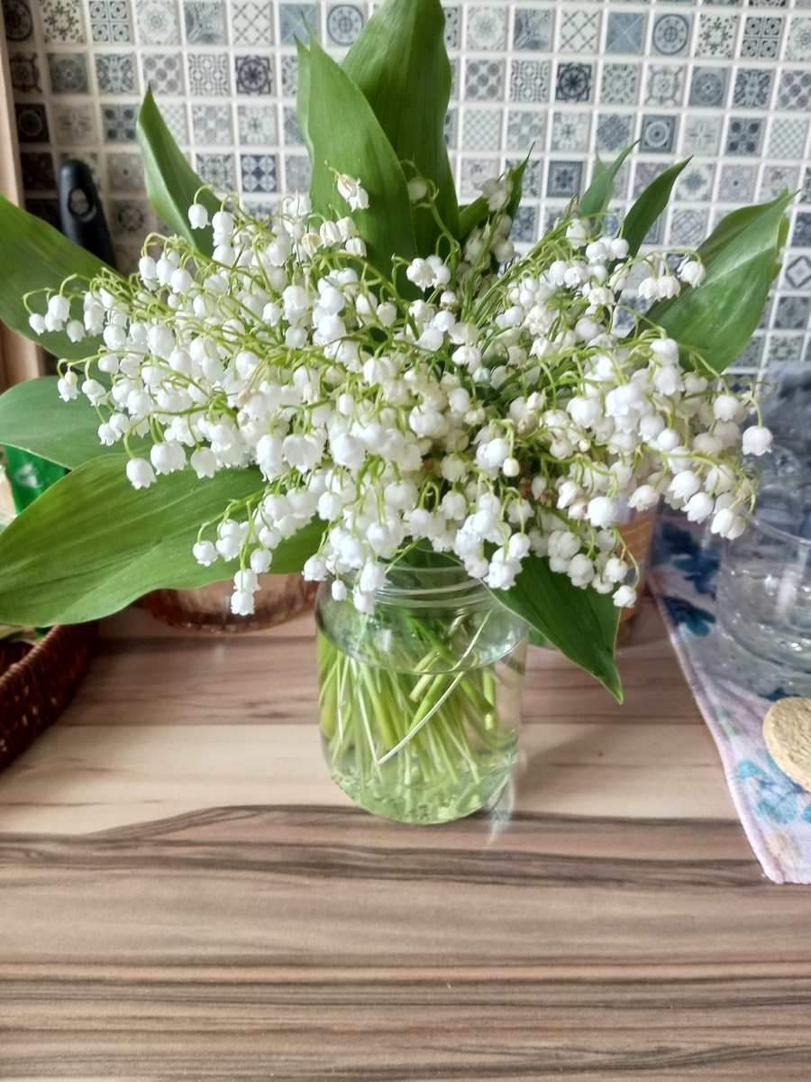 Ландыши в мае