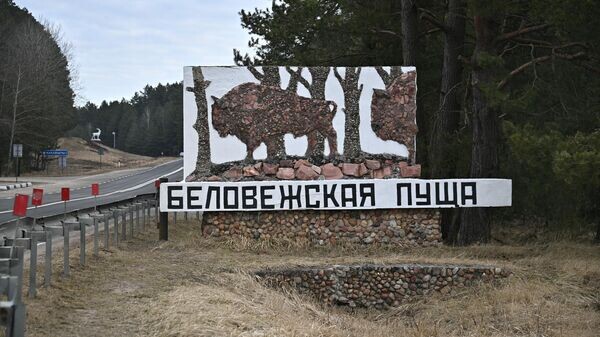    © Sputnik / Виктор Толочко