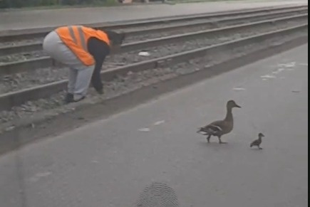    Фото: Инцидент-Новосибирск \ Telegram