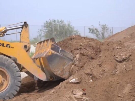    мазутный песок // фото: Скриншот видео в Tlegram-канале Михаила Фишкина