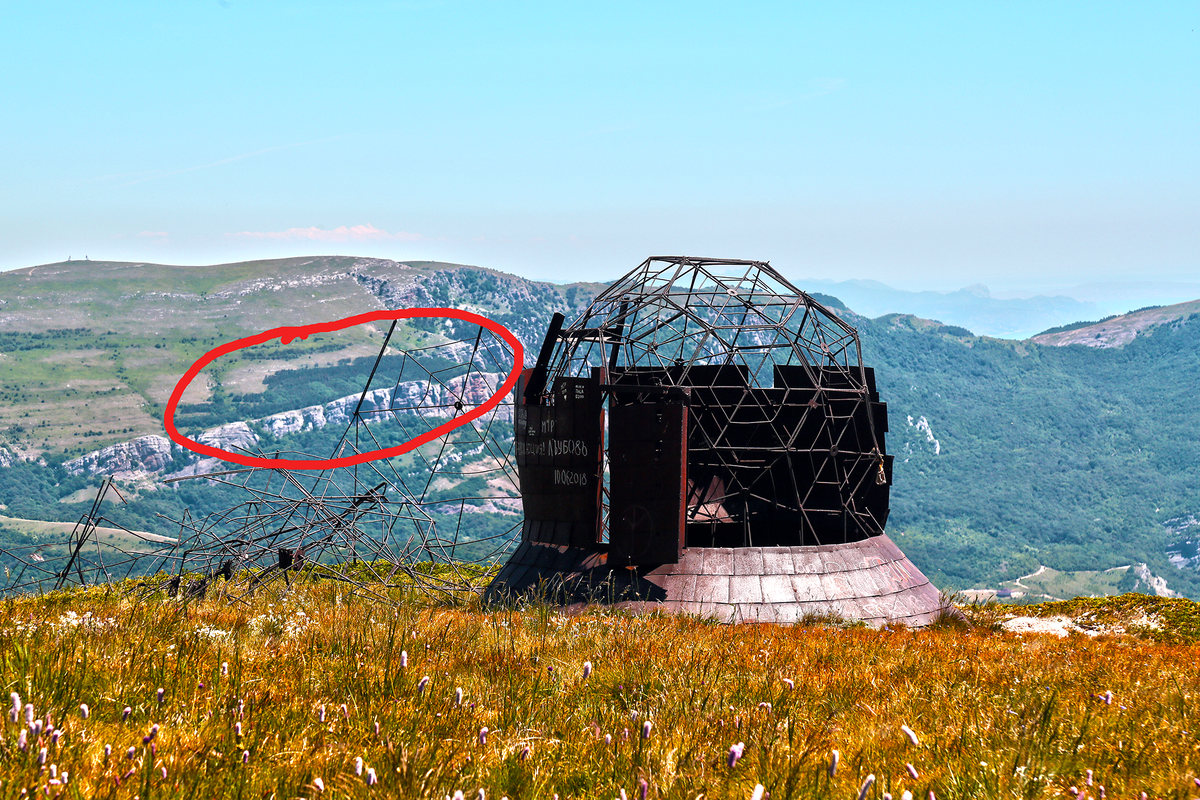 Лес, которого здесь быть не должно (но ему на это наплевать)