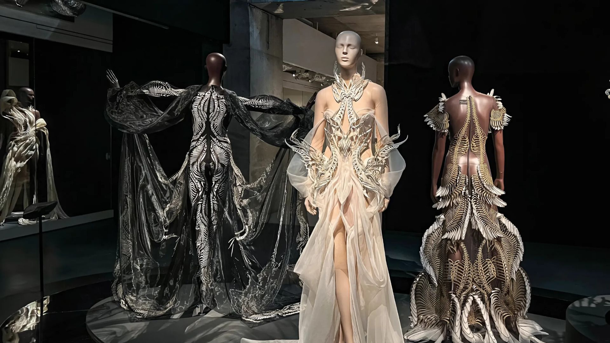 Одна из работ Ирис ван Херпен