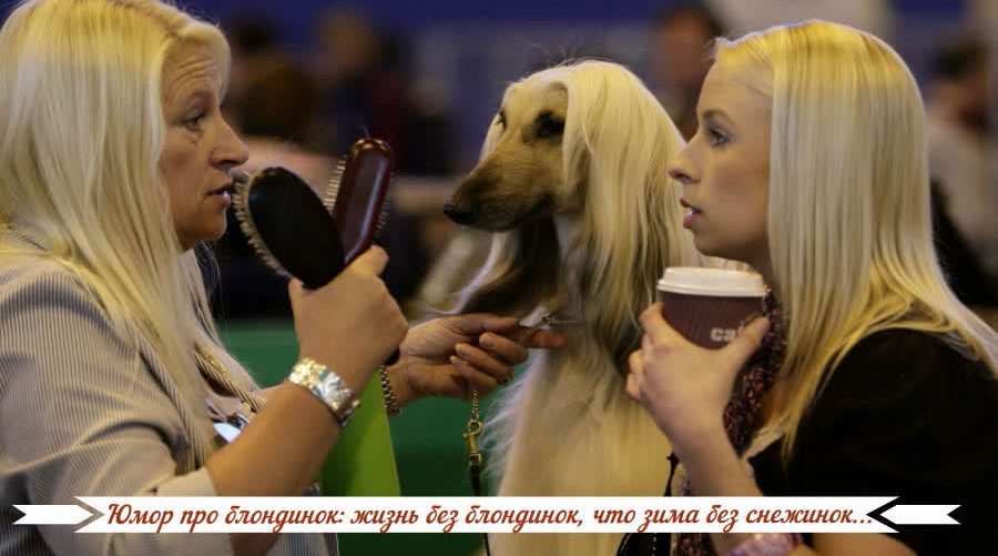 Фото взято с Яндекс. картинки