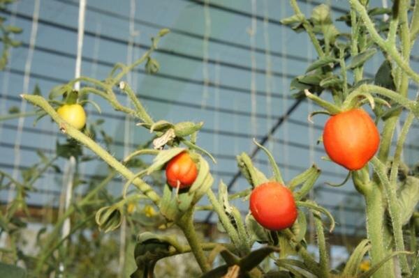    Иллюстрация фотобанка Ростовского отделения СЖР admin