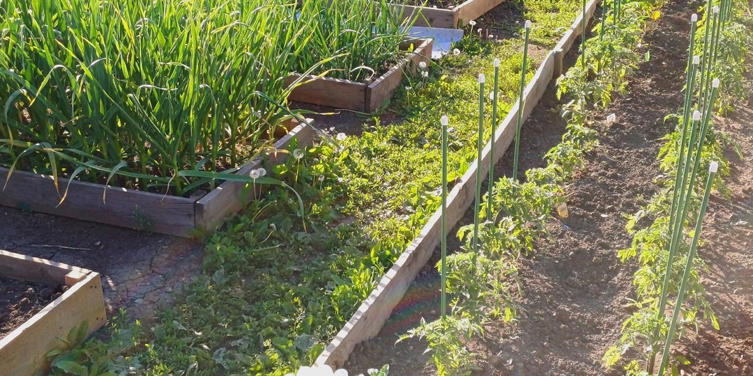 Всем привет!