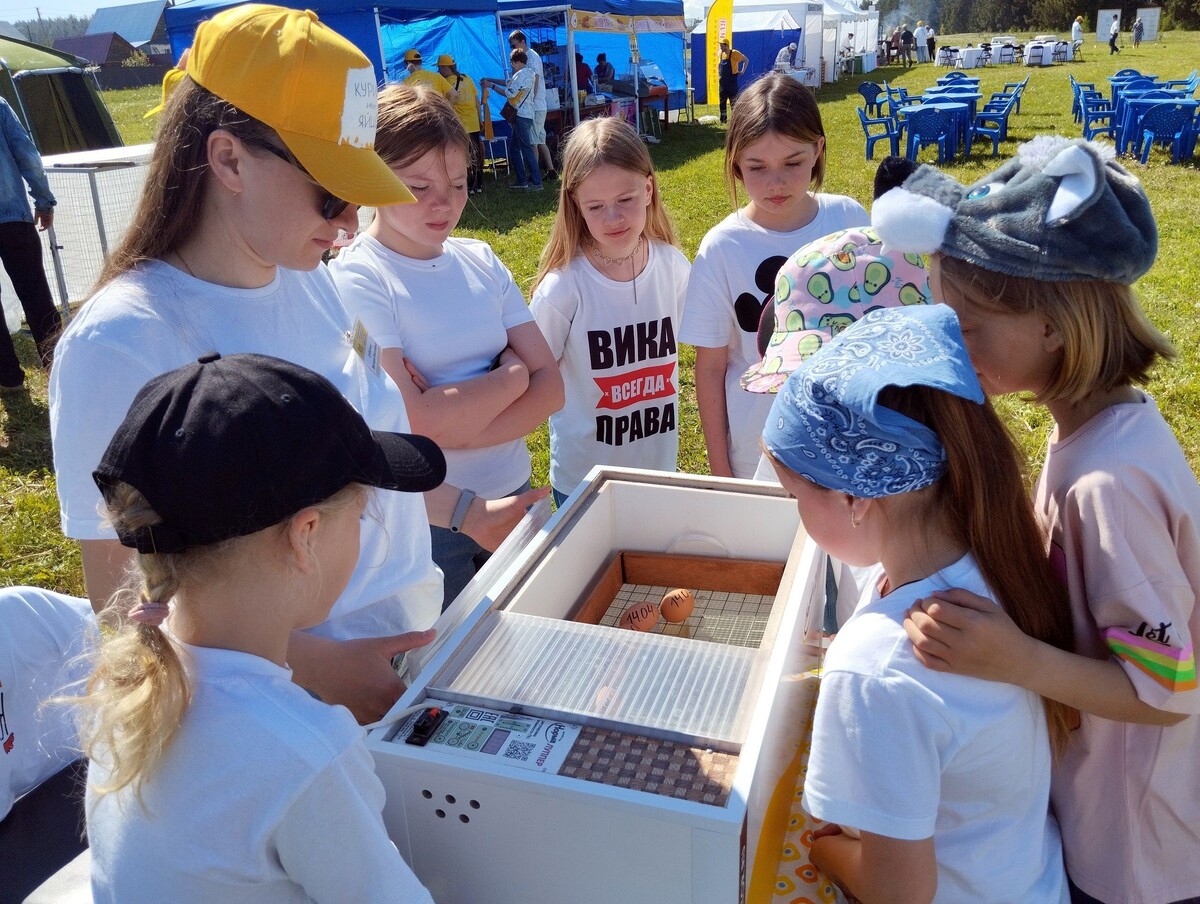    "Птицефабрика Чайковская" вновь примет участие в фестивале "Курица или яйцо"