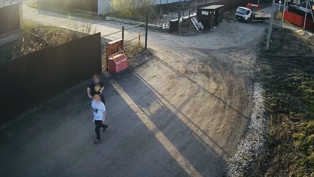    фото: комитет лесного хозяйства мо.