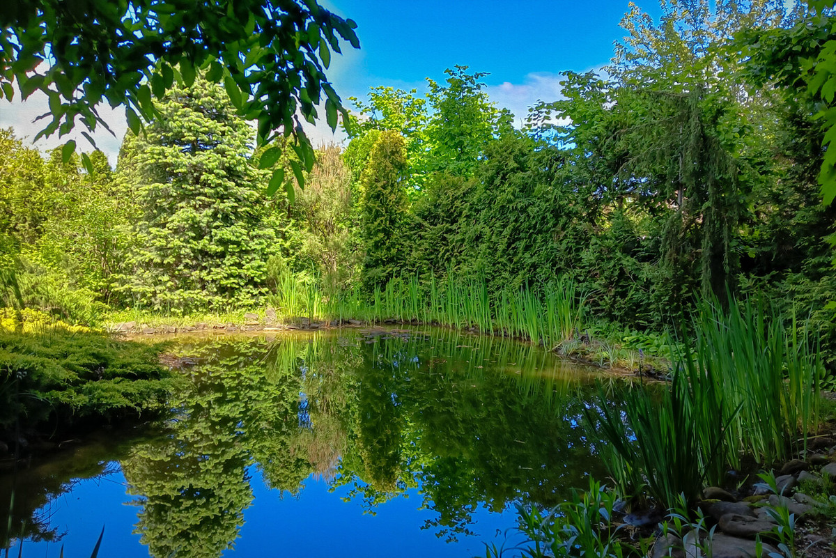 Первоначально здесь был огород