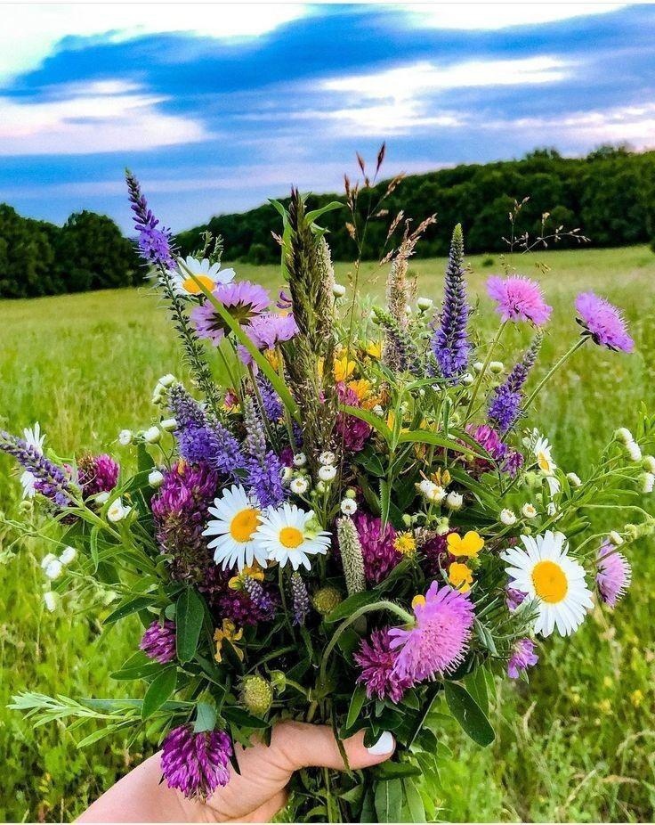 Яндекс картинки.