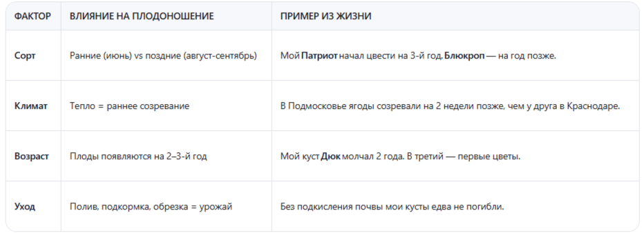 4 фактора, которые решают всё