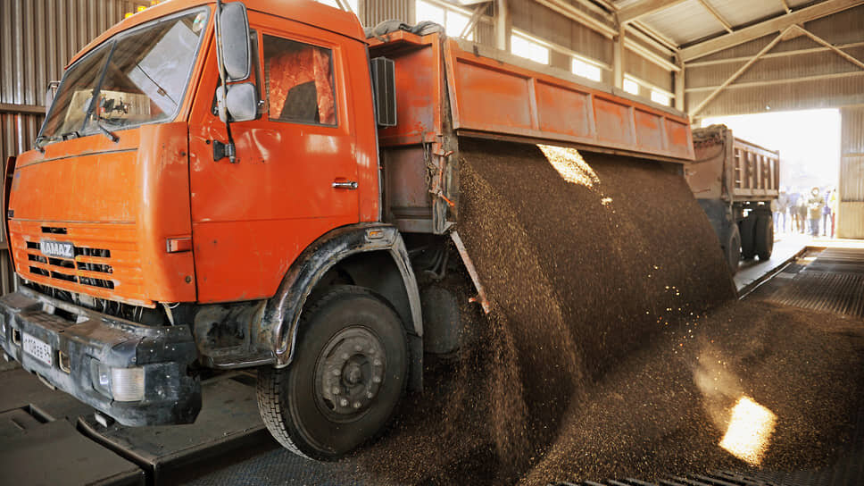 Фото: Влад Некрасов / Коммерсантъ