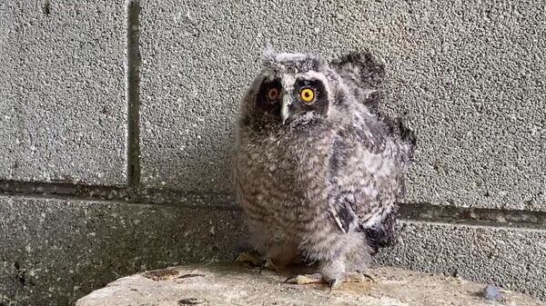    © РИА Новости Крым