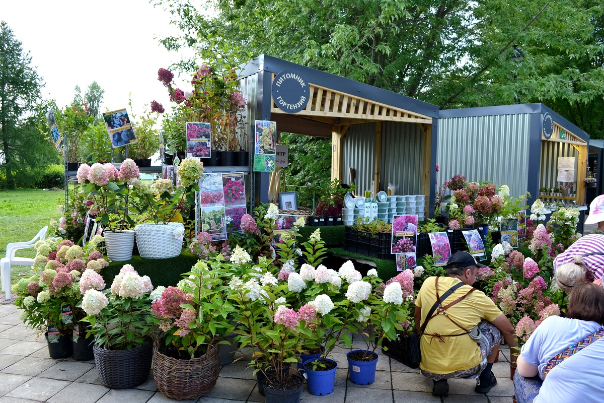 Москва. Царицыно. Фестиваль исторических садов. Август 2024г. Фото автора