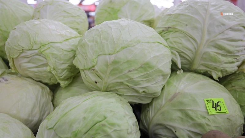      Фото: ИА «Победа26»