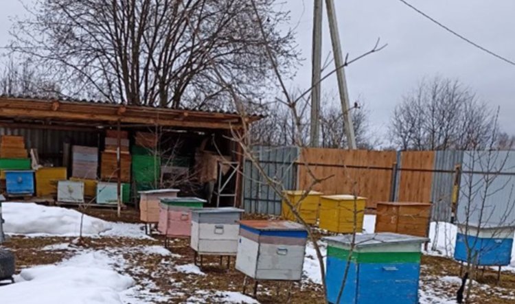    По жалобе соседа два пермских пчеловода получили судебный запрет на деятельность