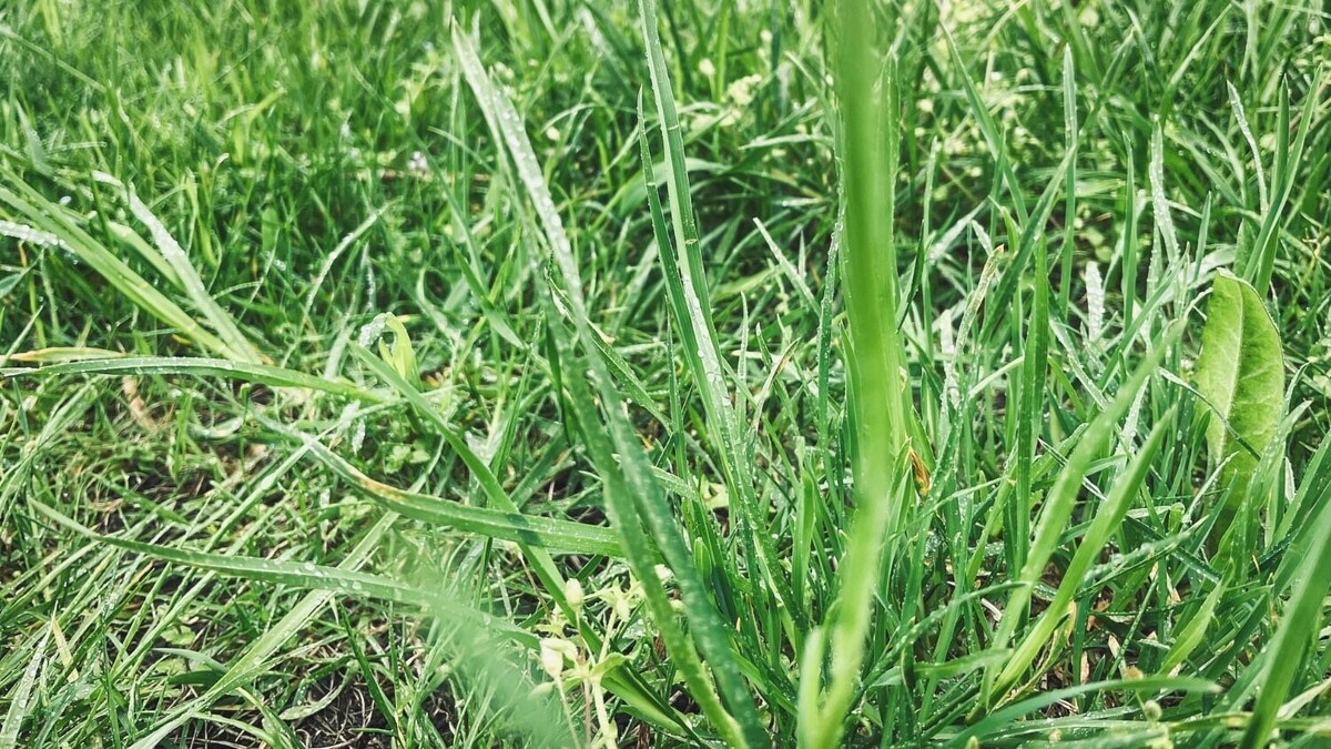     Источник: 1MI