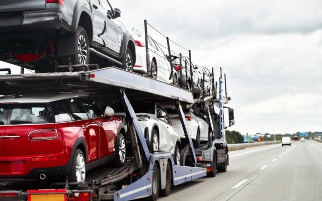 Фото: alexgo.photography / Shutterstock / FOTODOM
