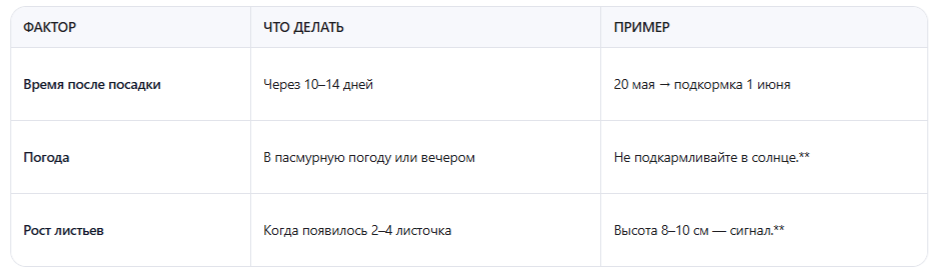 3 правила времени