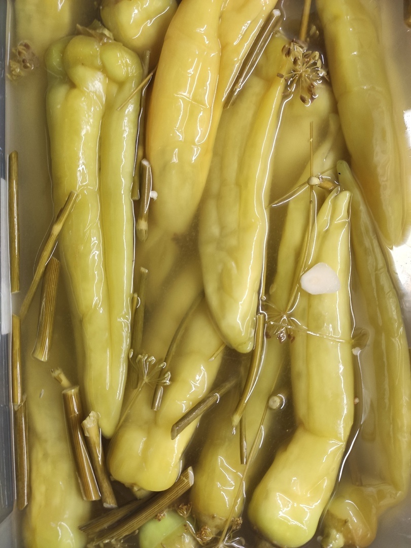 Квашеный Цицак