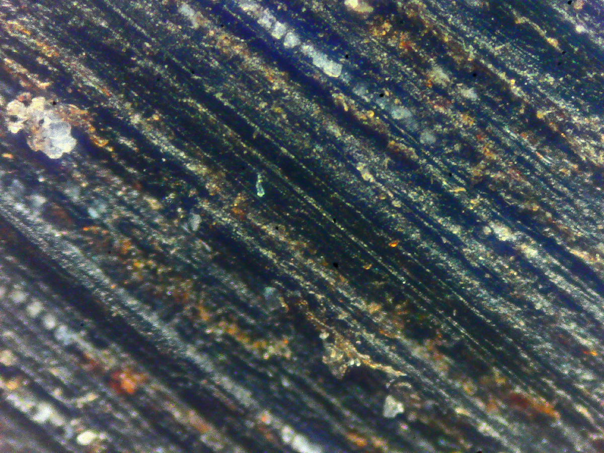 Эбен под увеличением